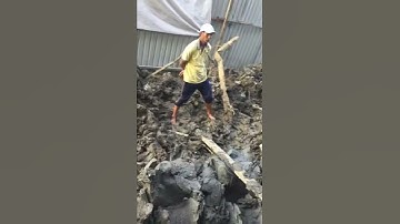 Bán robot ép cừ larssen 130 t 90 t 70 t