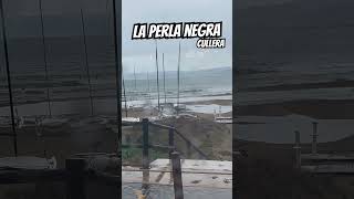 💎La Perla Negra 🏴‍☠️ #cullera