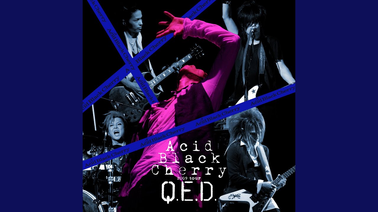 DRAGON CARNIVAL (Acid Black Cherry 2009 tour 