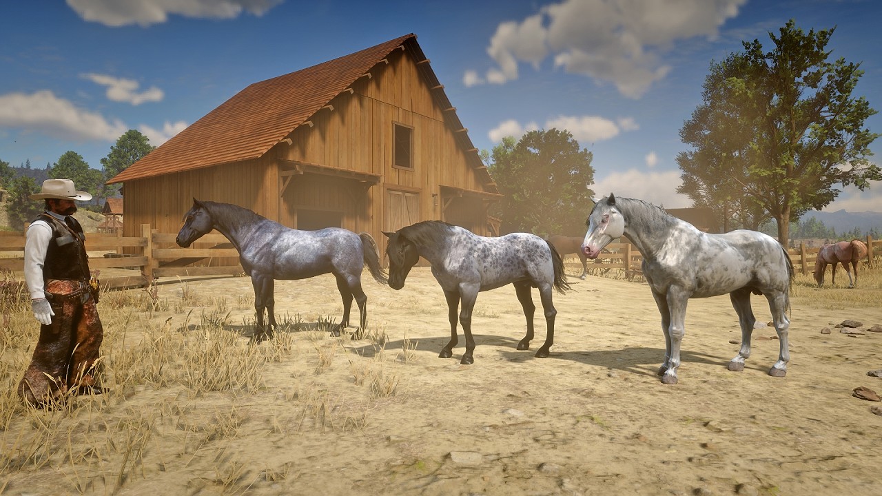John Marston Showcases Beautiful Nokota Horse Collection at His Ranch | RDR2