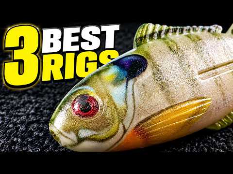 3 Ways To Fish This NEW Toad You Haven't Tried