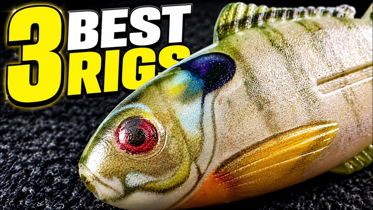 3 Ways To Fish This NEW Toad You Haven't Tried