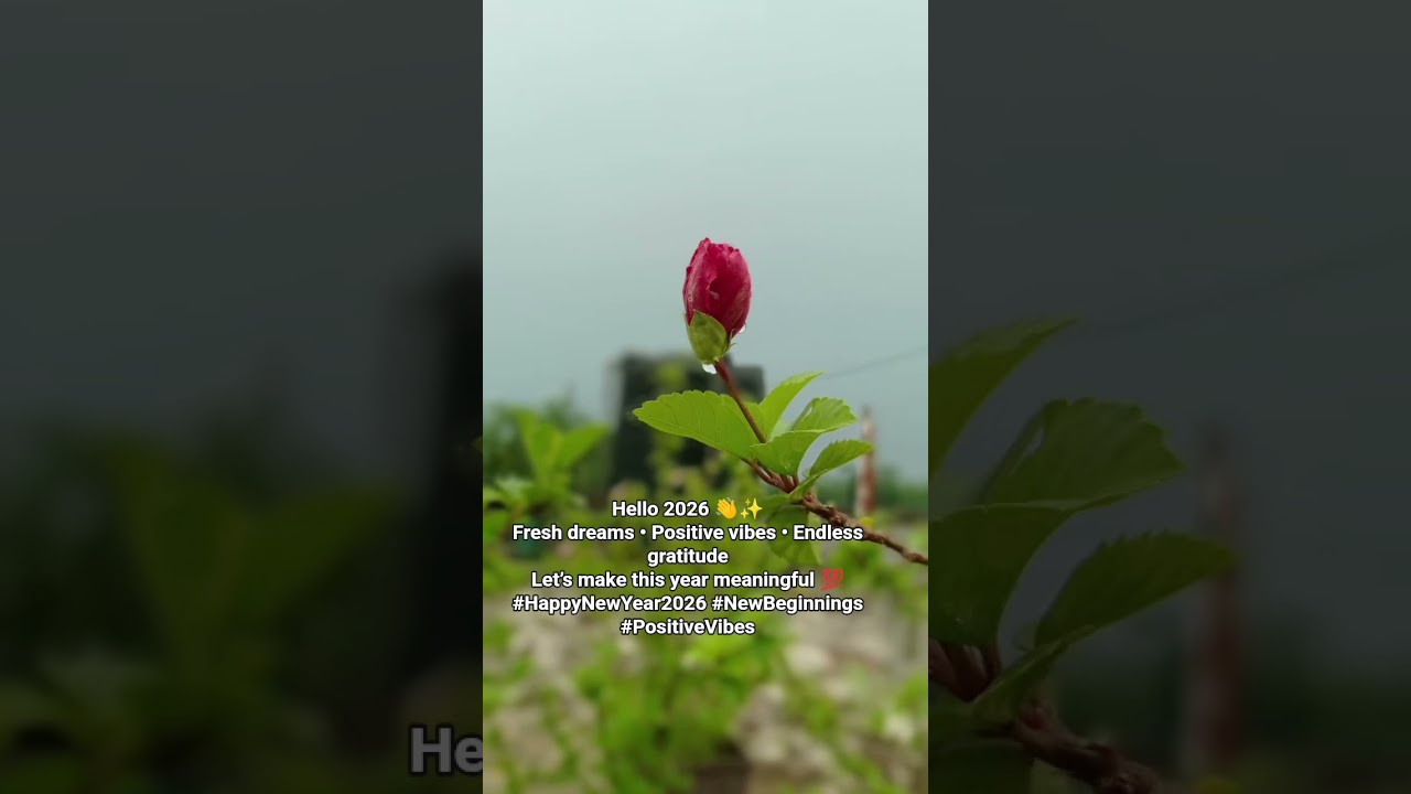 Let’s make this year meaningful 💯