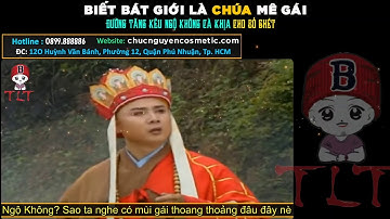 Thánh Lồng Tiếng | Biết bát giới là chúa mê gái Đường tăng kêu Ngộ không cà khịa cho bỏ ghét
