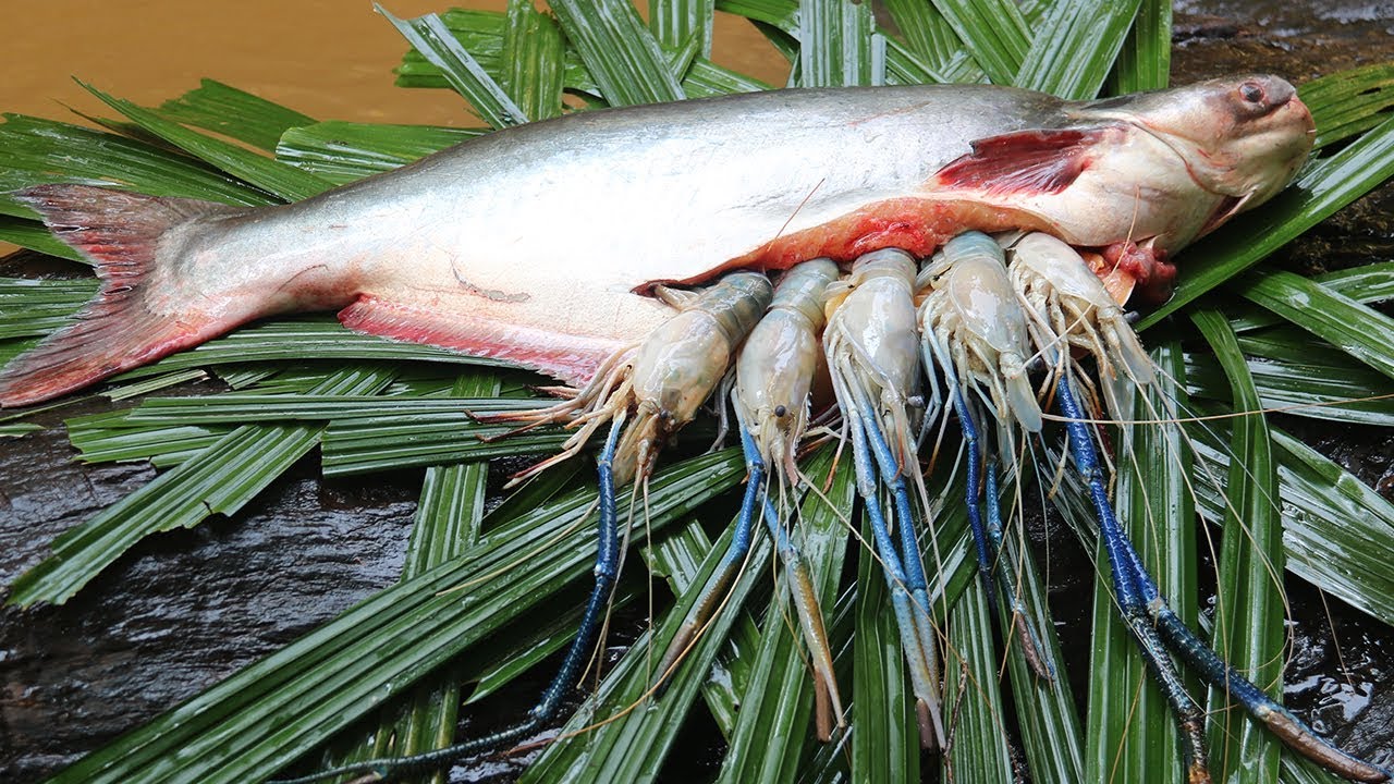 Unbelievable Shrimps In Big Fish Stomach and then Cooking in Forest