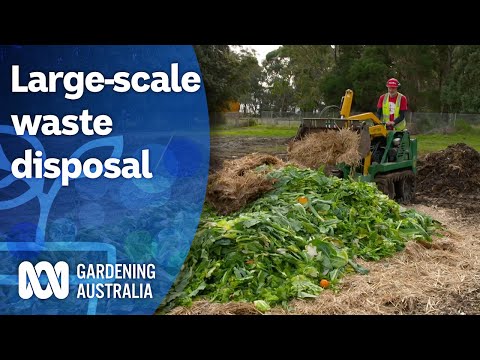 Video: Cum să reciclați în grădină - Folosiți gunoiul „verde” pentru a vă construi solul
