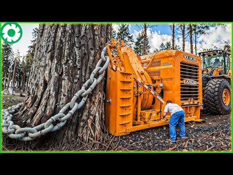 Most Big Chainsaw Cutting Tree Machines | Biggest Heavy Machinery Machines - The Engine