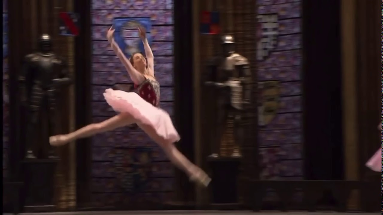 Fleur de Lys Variation - La Esmeralda - Bolshoi Theatre