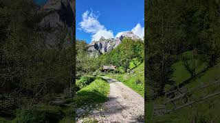 Romania’s Hidden Mountain Paradise
Scărița-Belioara Nature Reserve is one of the hidden treasures of the Apuseni Mountains. Around Șesul Craiului, rolling mountain meadows, dramatic limestone cliffs, and untouched forests create a breathtaking landscape far from the crowds.
This peaceful corner of Romania is perfect for hiking, photography, and experiencing the raw beauty of the Carpathians.
📍 Location: Alba County, Romania
Highlights: Limestone cliffs, alpine meadows, panoramic views, hiking trails
Best time: Late spring to early autumn for the best weather and scenery
#scaritabelioara #apuseni #romania #mountainviews #hiddenplaces Romania’s Hidden Mountain Paradise