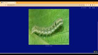 Pest Detection Using CNN Streamlit App in Python Projects