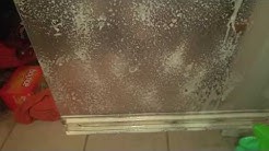 Cleaning Shower Glass Door. Housekeeping, House Cleaning Davenport, Champions Gate Fl 407-575-4118