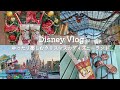 ［vlog］ゆったり楽しむクリスマスのディズニーランド🎄