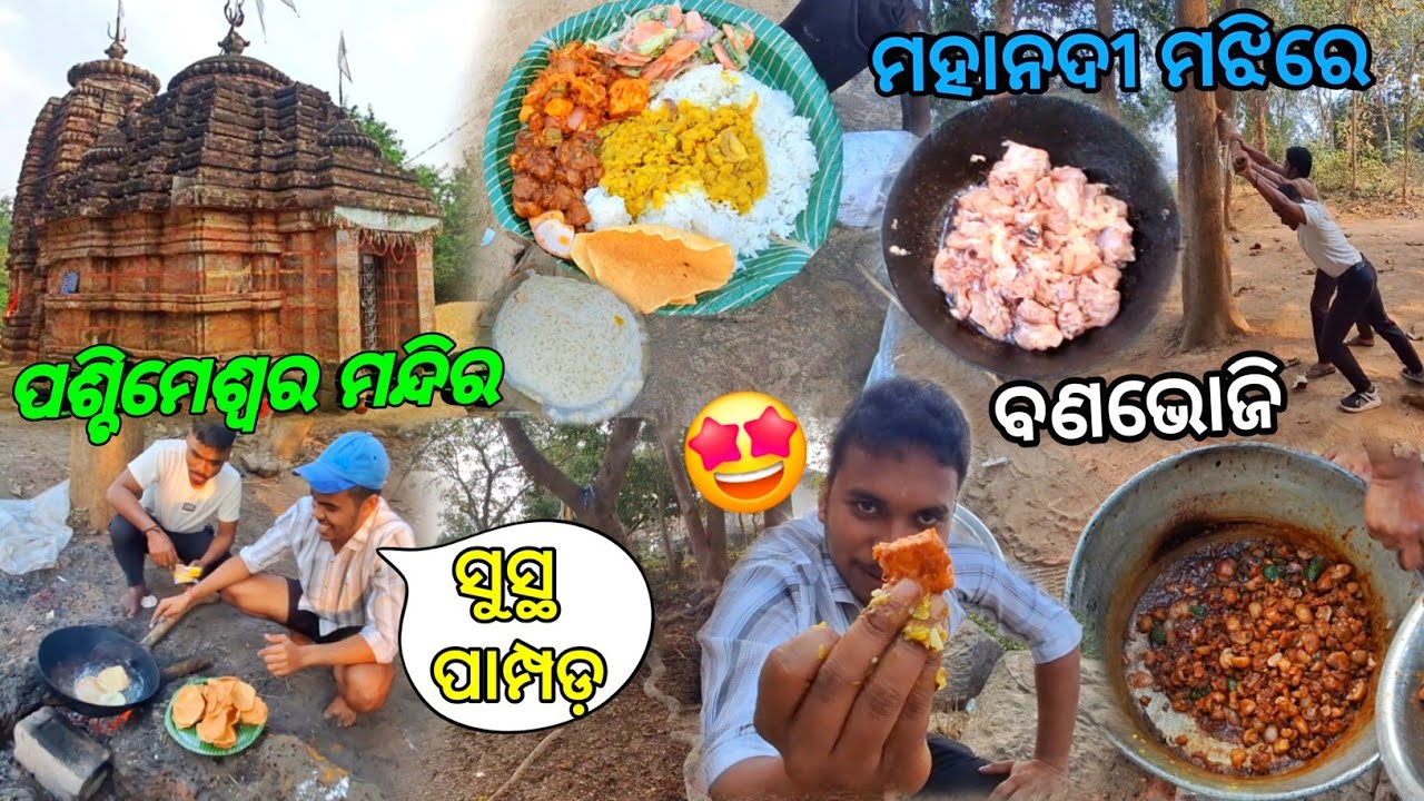 ମହାନଦୀ ମଝିରେ ହେଲା ବଣଭୋଜି | ଭୁବନେଶ୍ୱରରୁ ୪୦ କି.ମି ଦୂର ଅମଙ୍ଗେଇ କୁଦ | best place for feast | odia vlogs 