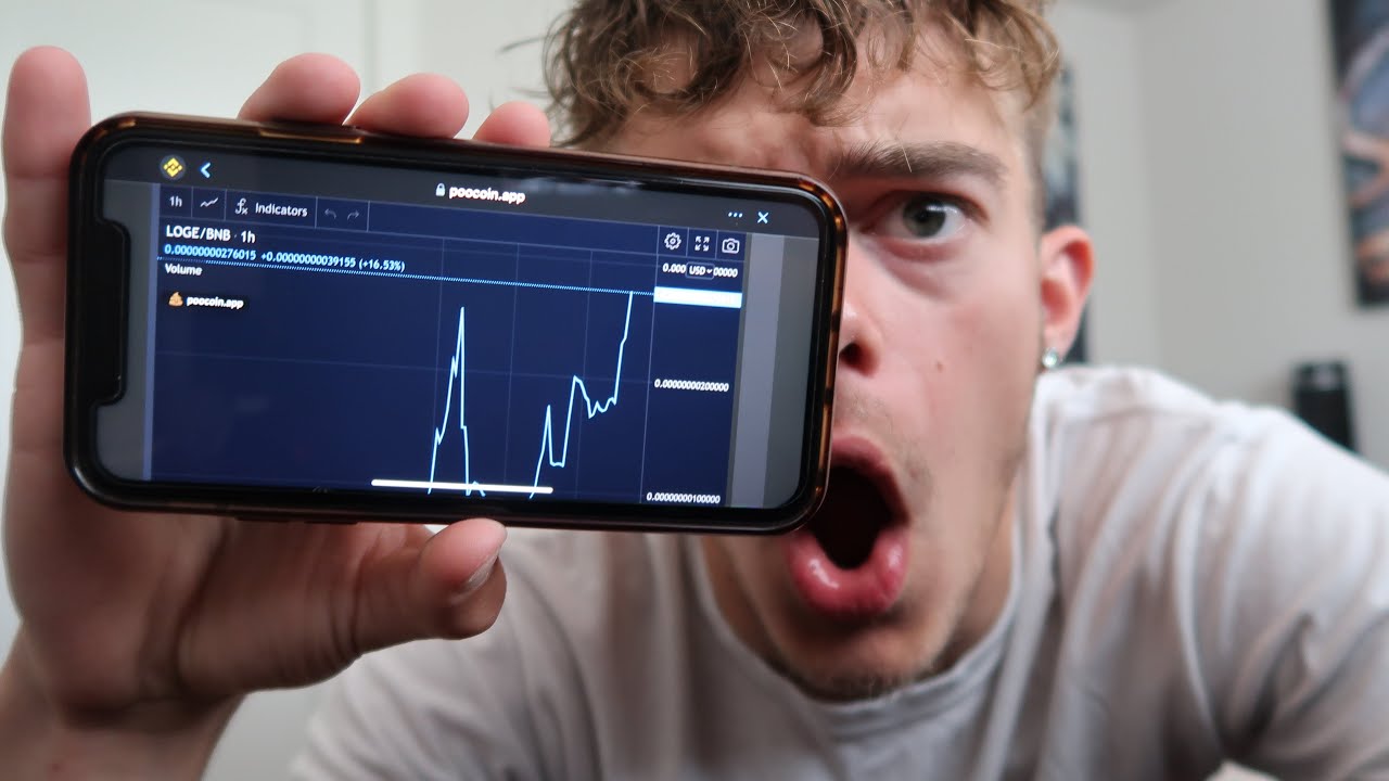 How to Buy LOGE! (Luna Doge) NEXT DOGECOIN!