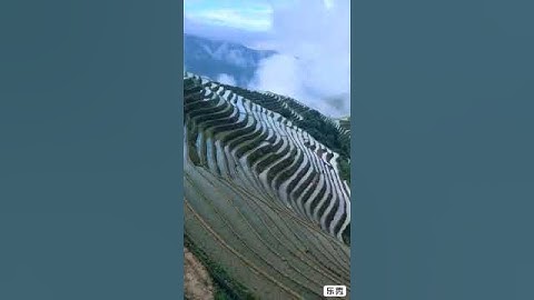 #سورة النمل  ..#قل الحمدلله