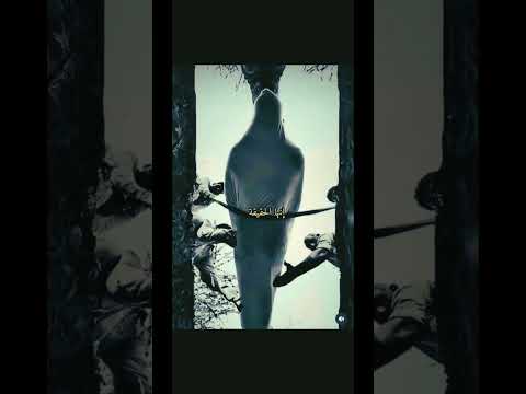 ستموت نعم ستموت انها الحقيقه التي نهرب منها دائما الشيخ خالد الراشد 