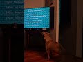 Rosie watching PEG TV