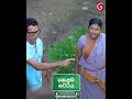 සිග්නල් තියෙනවා කිවුවාම ඕන කෙනෙක් නගිනවා 😁😁#kolambakattiya #shorts