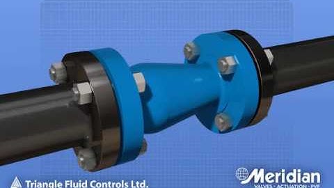 Silent Check Valve