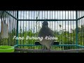 Terapi Perkutut Lokal Suara Merdu Buata Yang Malas Bunyi Mp3 - Mp4 Download