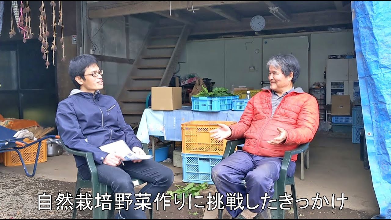 自然栽培野菜|熊本県で無農薬・無肥料で育てた旬の野菜 | 達人の自然