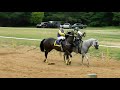 TAPADO C.3 ANIMALES VS EL CHUBIDUBI C.RINCONCITO EL CUATE