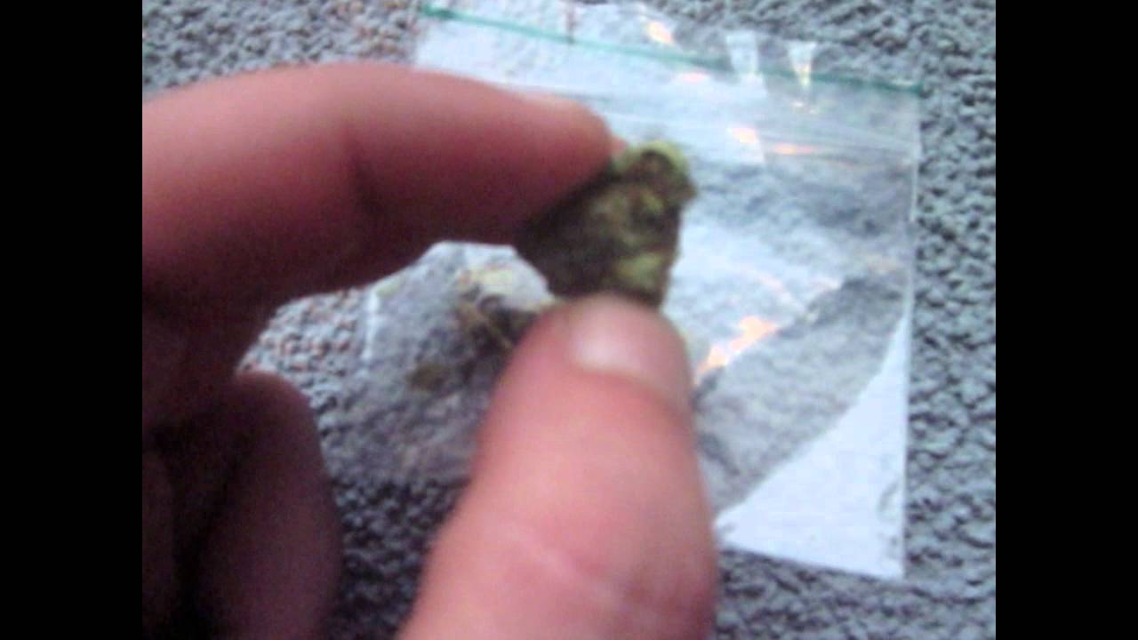 Kosher & Chocolope Kush from Grey Area