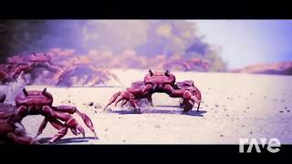Nothing To Insomnia Here Folks - Just A Regular Crab Rave & Fluxxy