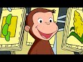 Don't Eat the Seeds! 🐵 Full Episodes 🐵 Curious George | Animal Friends