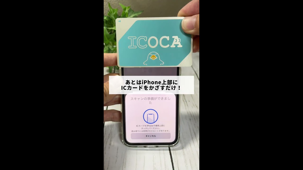 ICOCA 交通系icカード 無記名 JR西日本 - メルカリ