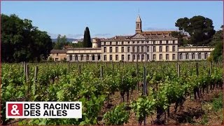Le château de Pennautier, "Versailles du Languedoc"