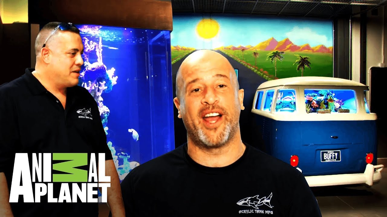 camera iphone 8 plus apk Lo mejor de 