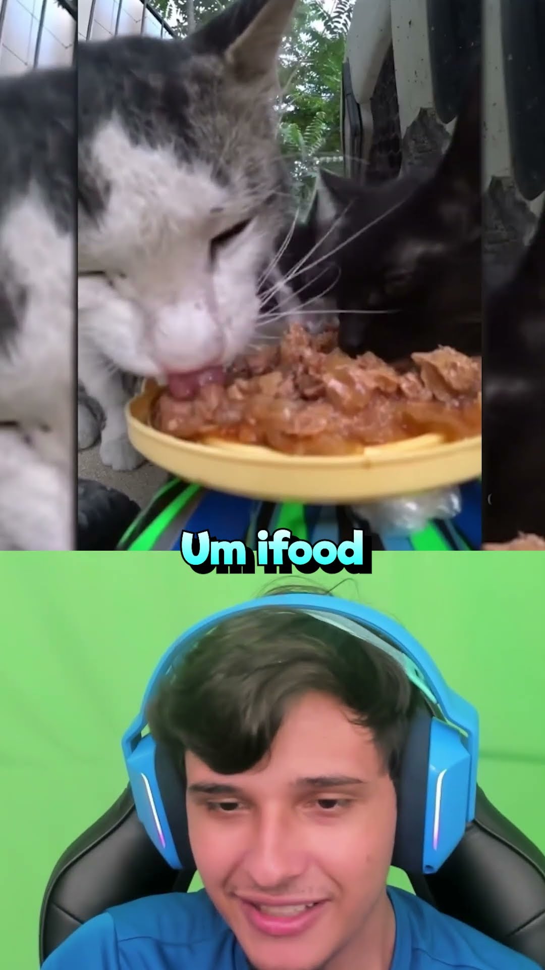 iFood pra Gatos!?