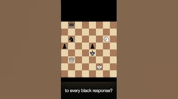 Daily Chess Combinations - No. 25 - #chess #puzzle #dailychess #shorts #0_algo_chess