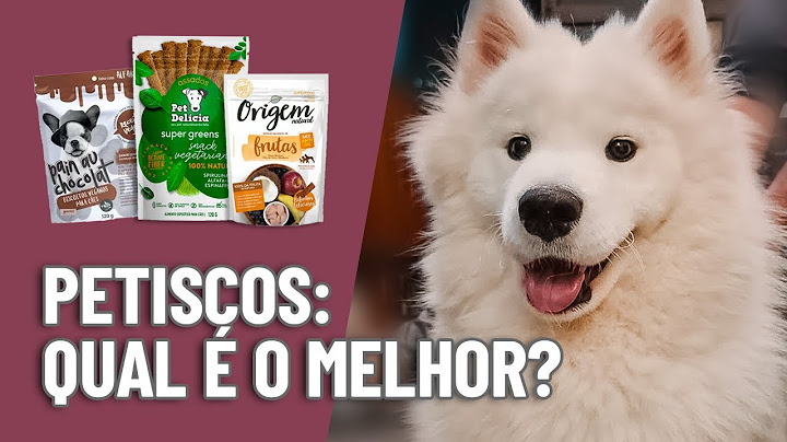 Comida de cachorro: Petiscos! Escolhendo o meu preferido.