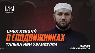 Тальха Ибн Убайдулла / Муслим Газимагомедов