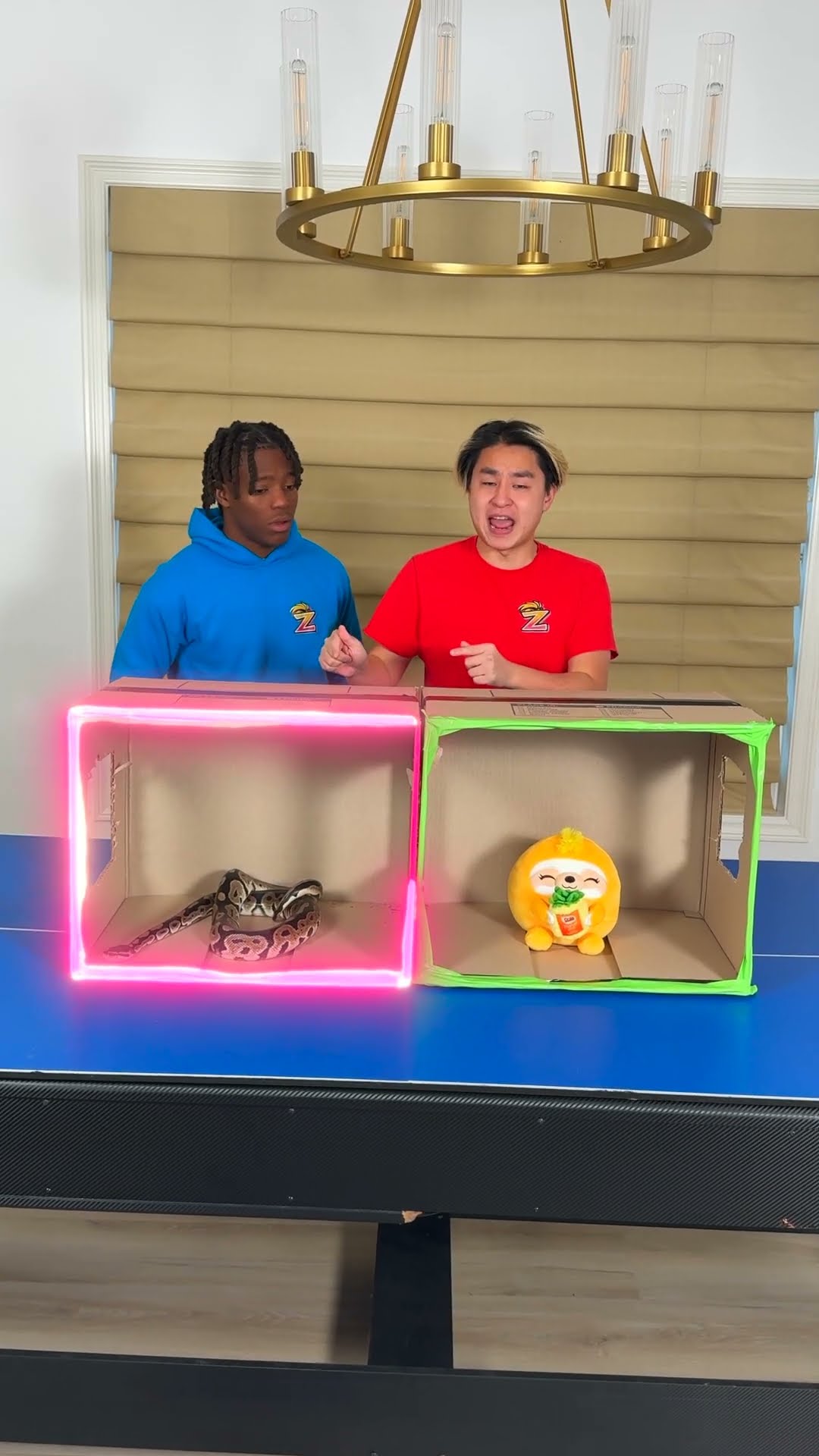 Don't Pick The Snake Box!