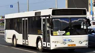 картинка: МАЗ-103.569 || АР 144 72 || 118 маршрут || г. Тюмень