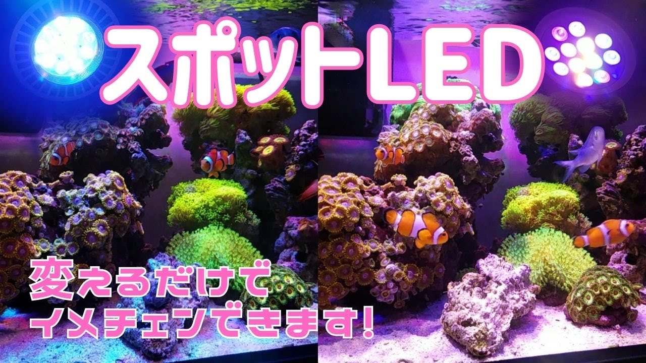 MICMOLG3AQUAAIMICMOL  LED照明 海水魚・サンゴ用