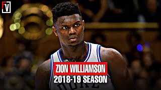 Zion Williamson Duke Full Freshmen Season Highlights Montage 2018-19 -22.6 PPG, 8.9 RPG, MONSTER!