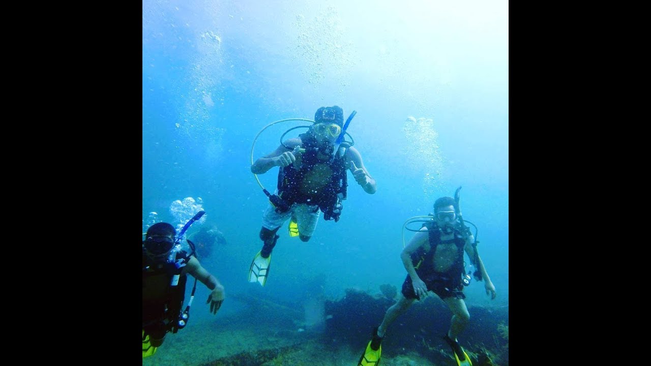 Scuba diving Miami Florida YouTube