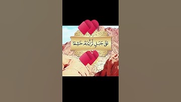 أجمل تلاوة صباحية 💚🥀صباح الخير و السعادة ♥️🥀