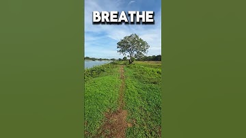 Need Peace? Take This Silent Walk