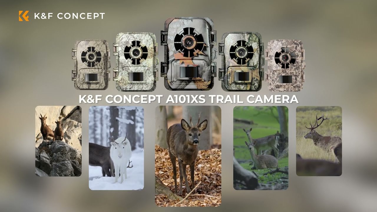 K&F Concept Wildlife Camera with Motion Sensor Night Vision Wide Angle -  K&F Concept