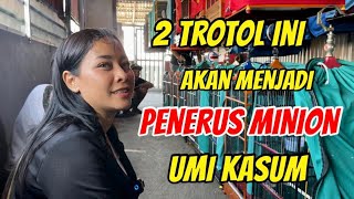 2 Trotol Murai GMK ini Akan Menjadi Penerus Minion Umi Kasum