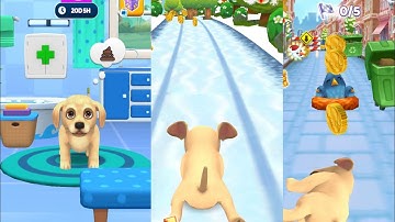 Pet 🐶 Run And Dog Run,🐶!! Gameplay walkthrough ALL Levels ios Android ( Happy time)