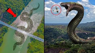 وحوش مخيفة تم إكتشافها تعيش في نهر الأمازون !