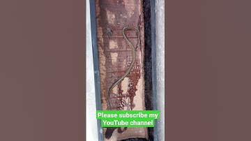 snack video 17 #snake #short