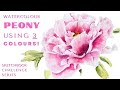 Watercolour Peony Tutorial Using JUST 3 COLOURS & ONE BRUSH!