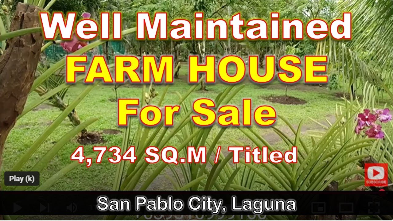 FARM LOT FOR SALE Property #66 4,734 SQM , SAN PABLO CITY , LAGUNA TITLED